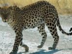 20201124_081516.jpg