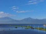 20201127_093303.jpg