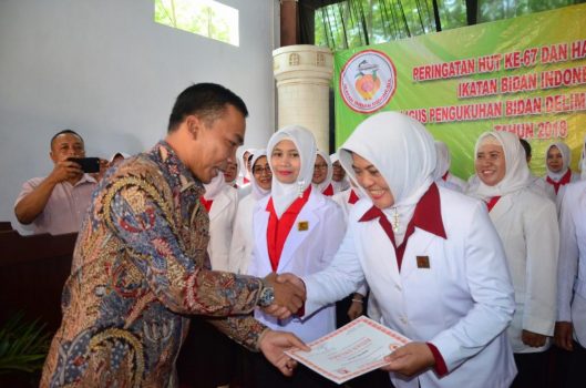 Bidan Hamil
