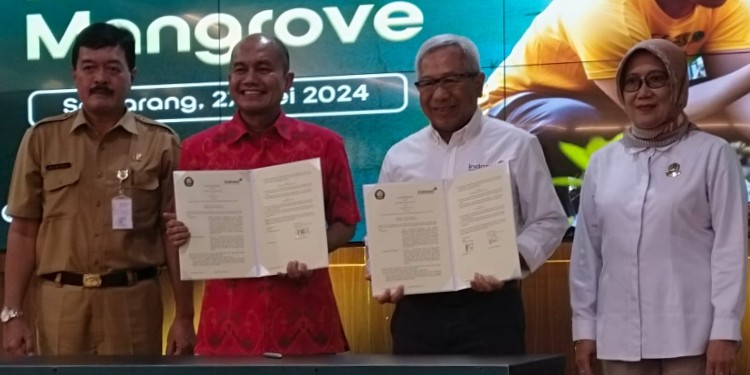 Indosat dan Undip kolaborasi digitalisasi konservasi mangrove