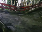 Screenshot_2021-02-05-11-30-14-1.png