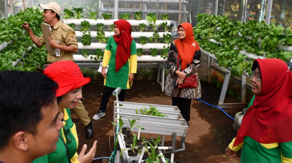 semarang urban farming