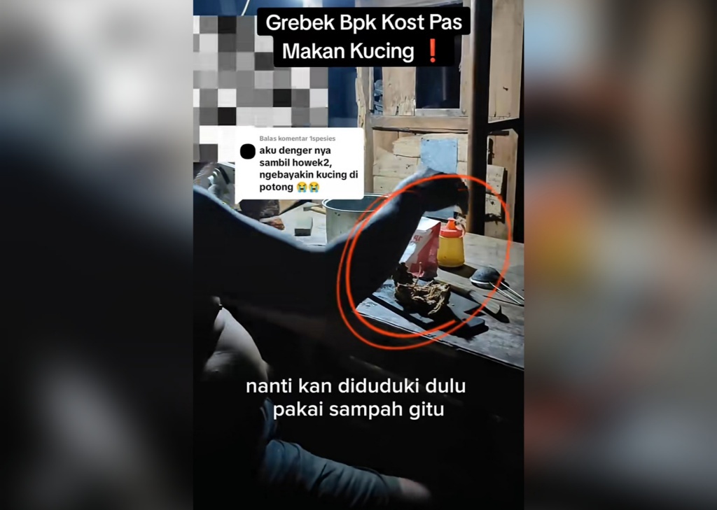 pria makan kucing semarang