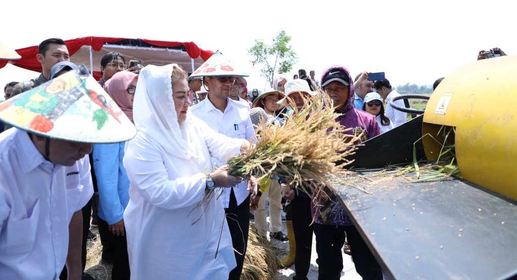 lahan salin semarang