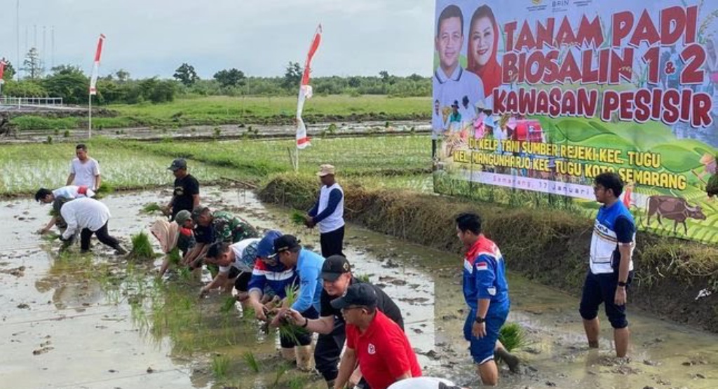swasembada pangan berkelanjutan di semarang