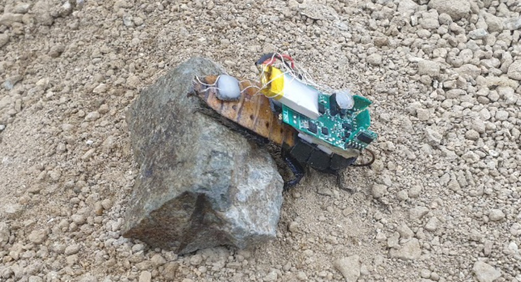 robot serangga undip