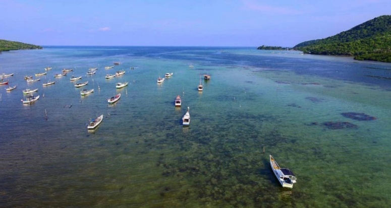 karimunjawa go internasional