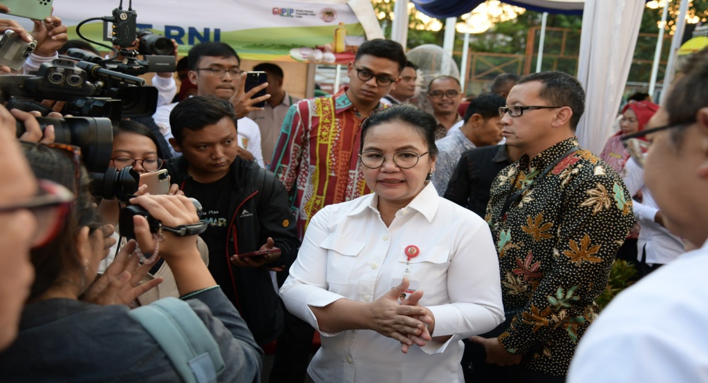 non ASN jadi PPPK paruh waktu