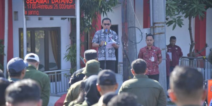 Apel Jatibarang Apel antisipasi Jatibarang