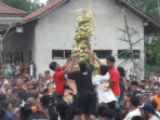 gerebek ketupat magelang