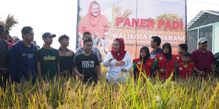 balai benih pertanian semarang dijadikan agrowisata instagramable.