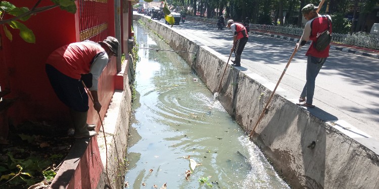 pemkot semarang bersihkan sungai antisipasi banjir