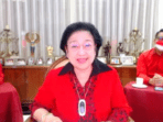 survei pdip